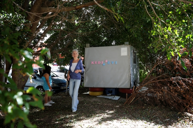 Sokak kedilerine karavandan yuva yaptılar